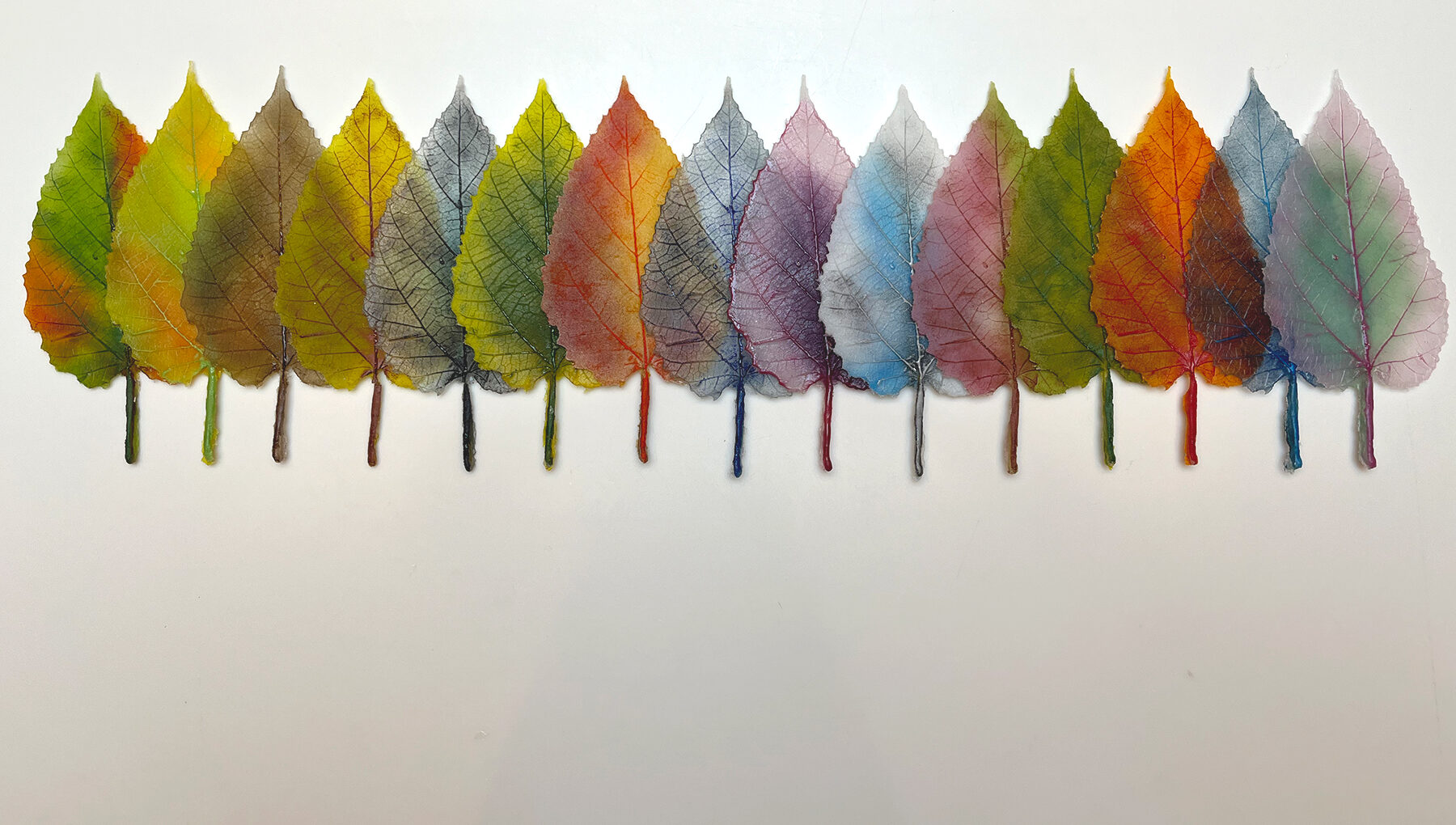 A rainbow of glass leaves