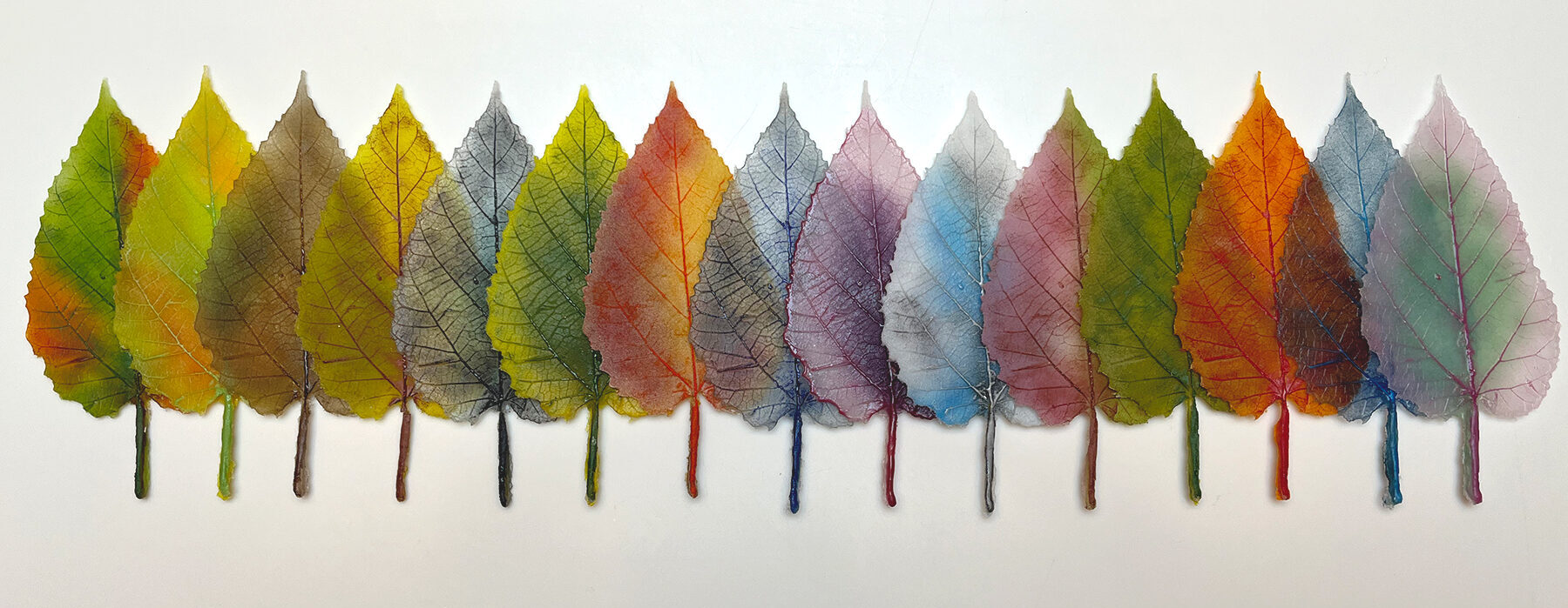 A rainbow of glass leaves