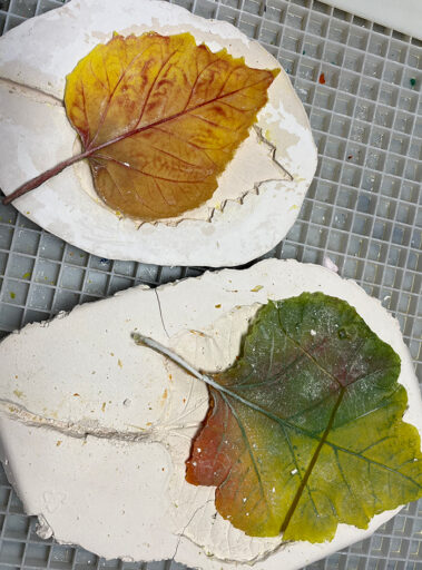 Pate de verre leaf molds and fused leaf examples